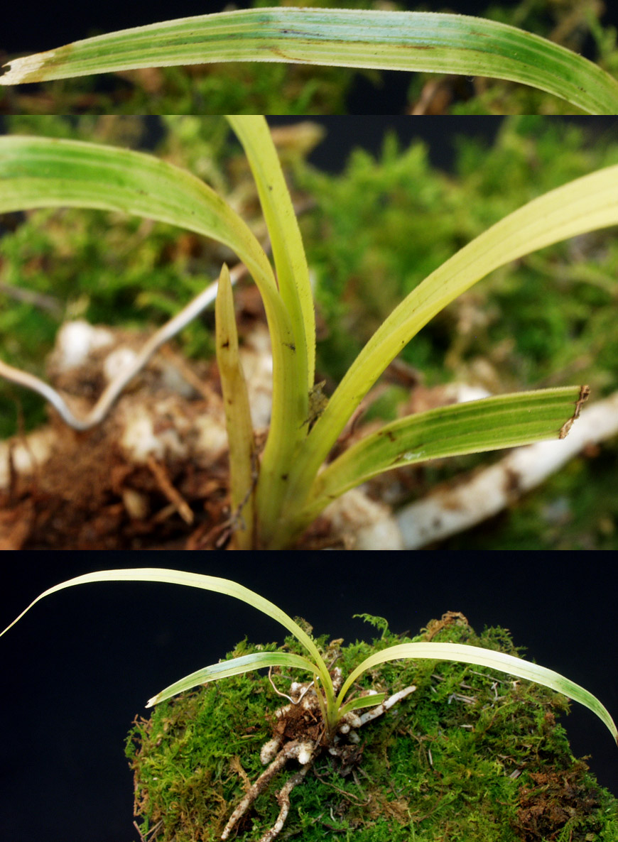 ������ ū������ �� �� �ֽ��ϴ�.