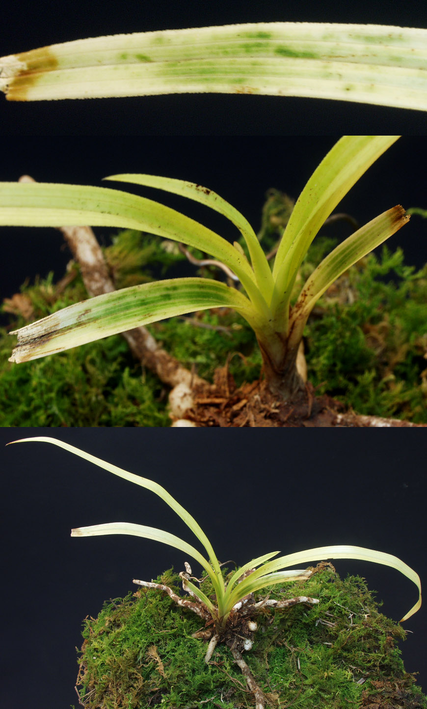 ������ ū������ �� �� �ֽ��ϴ�.