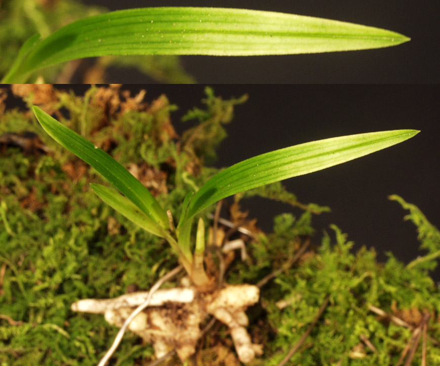 ������ ū������ �� �� �ֽ��ϴ�.