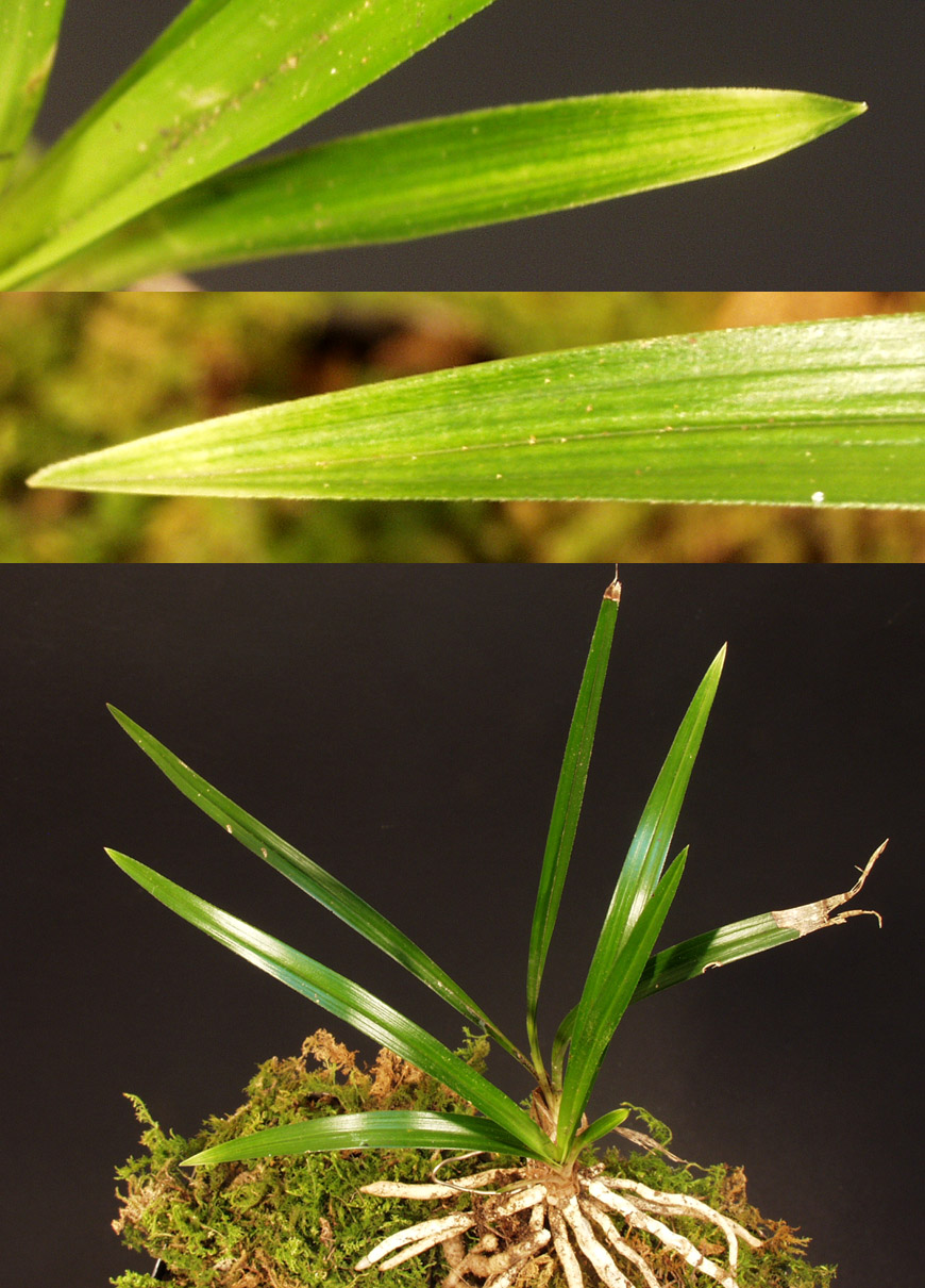 ������ ū������ �� �� �ֽ��ϴ�.