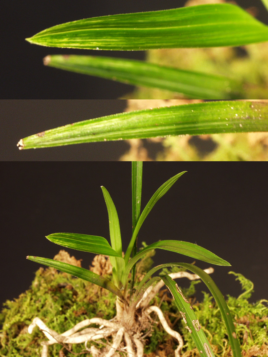 ������ ū������ �� �� �ֽ��ϴ�.