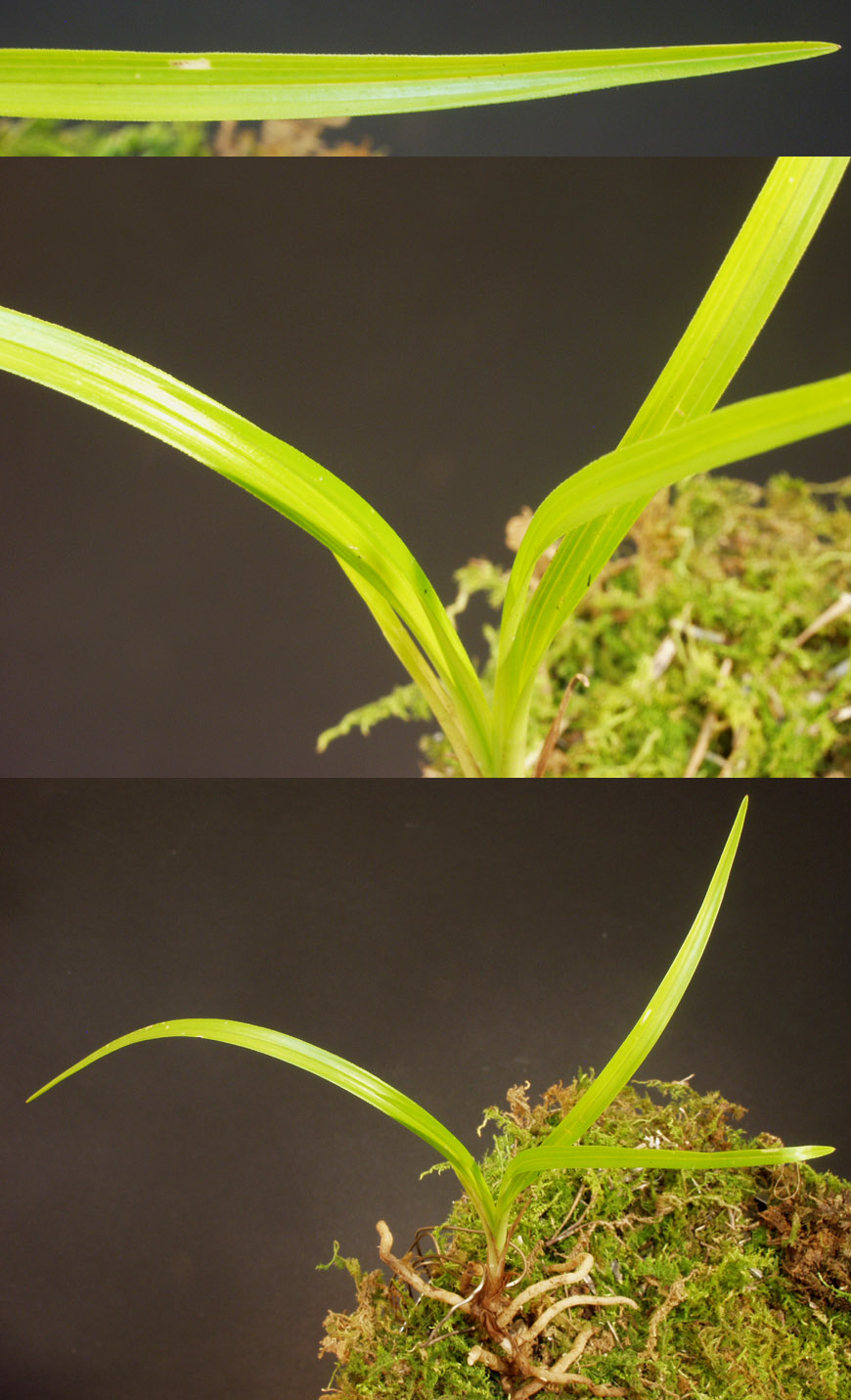 ������ ū������ �� �� �ֽ��ϴ�.