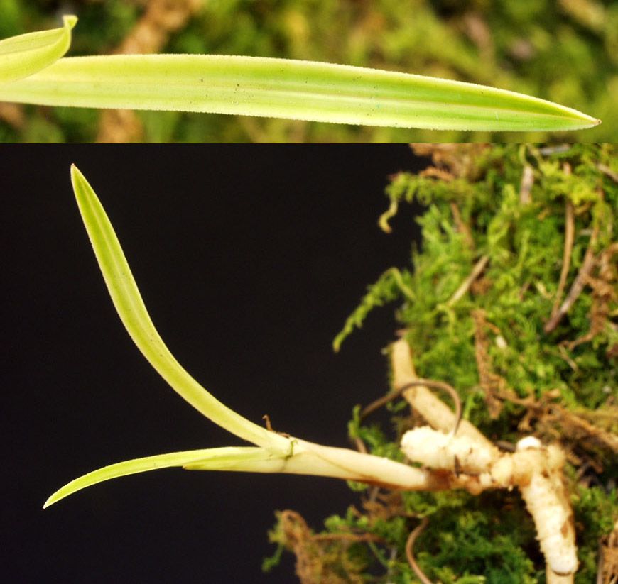 ������ ū������ �� �� �ֽ��ϴ�.