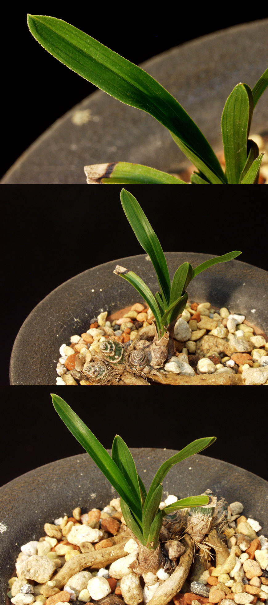 ������ ū������ �� �� �ֽ��ϴ�.