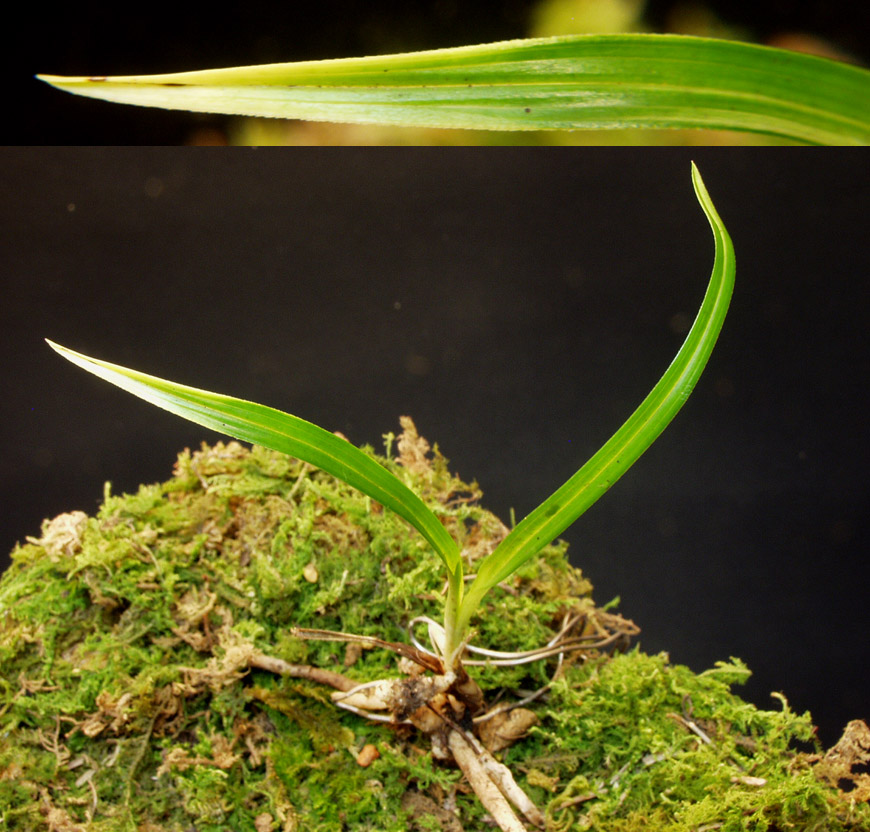 ������ ū������ �� �� �ֽ��ϴ�.