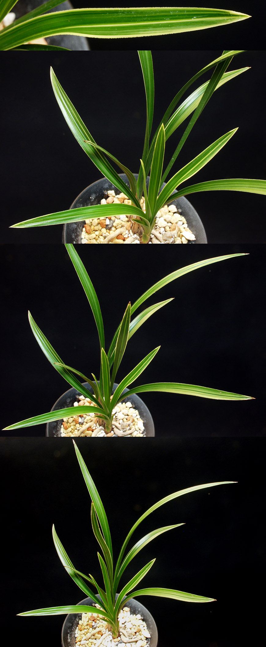 ������ ū������ �� �� �ֽ��ϴ�.