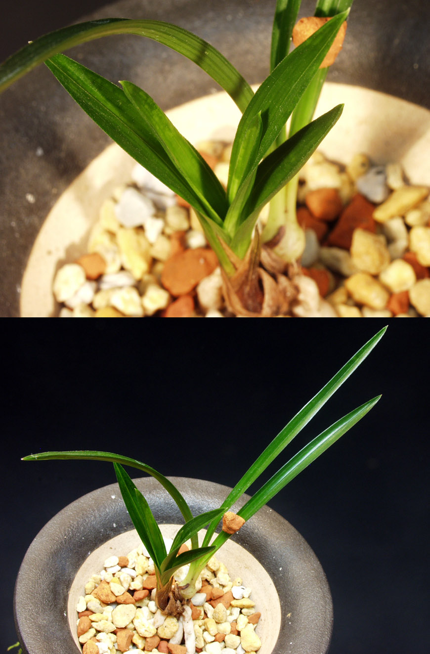 ������ ū������ �� �� �ֽ��ϴ�.