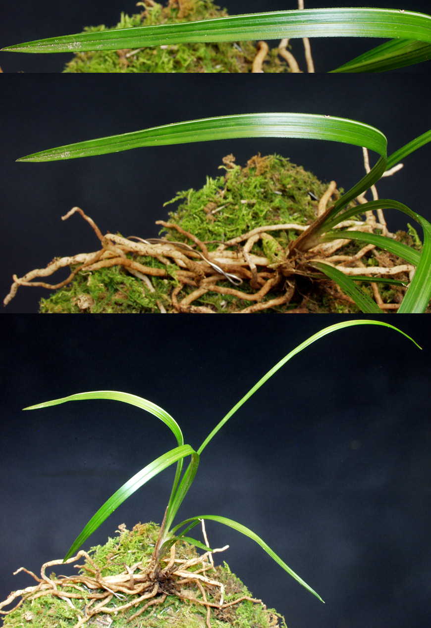 ������ ū������ �� �� �ֽ��ϴ�.