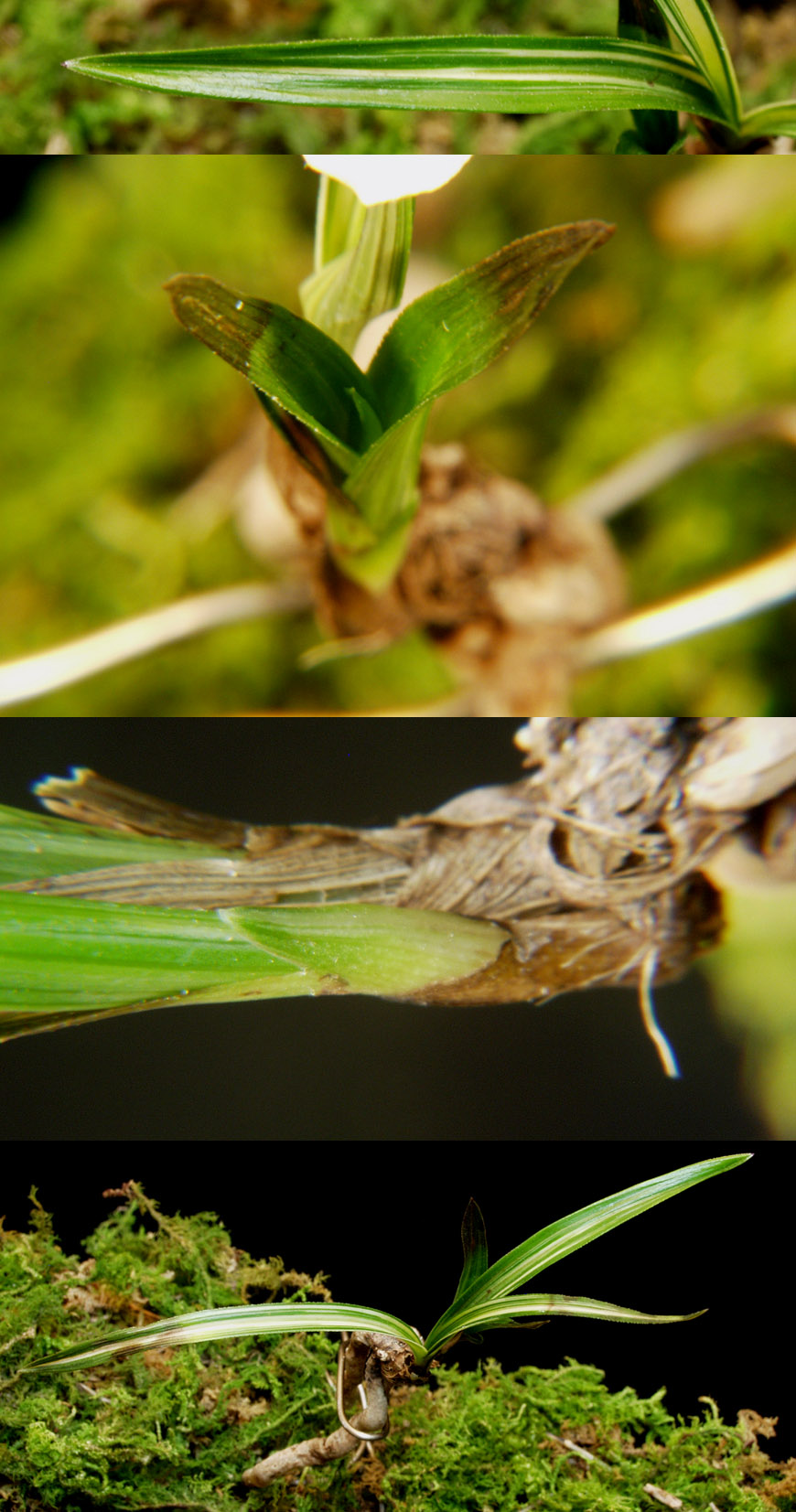 ������ ū������ �� �� �ֽ��ϴ�.