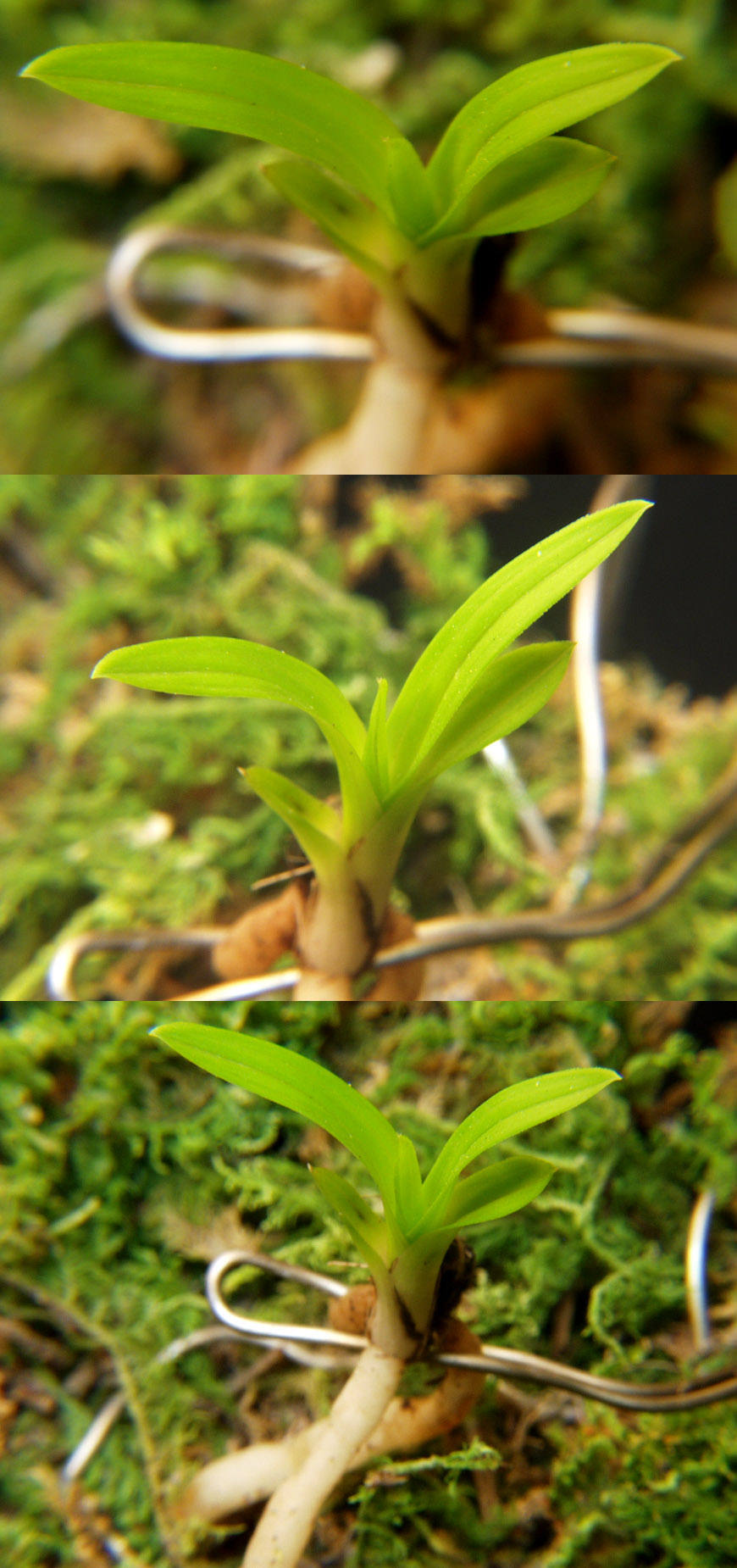 ������ ū������ �� �� �ֽ��ϴ�.