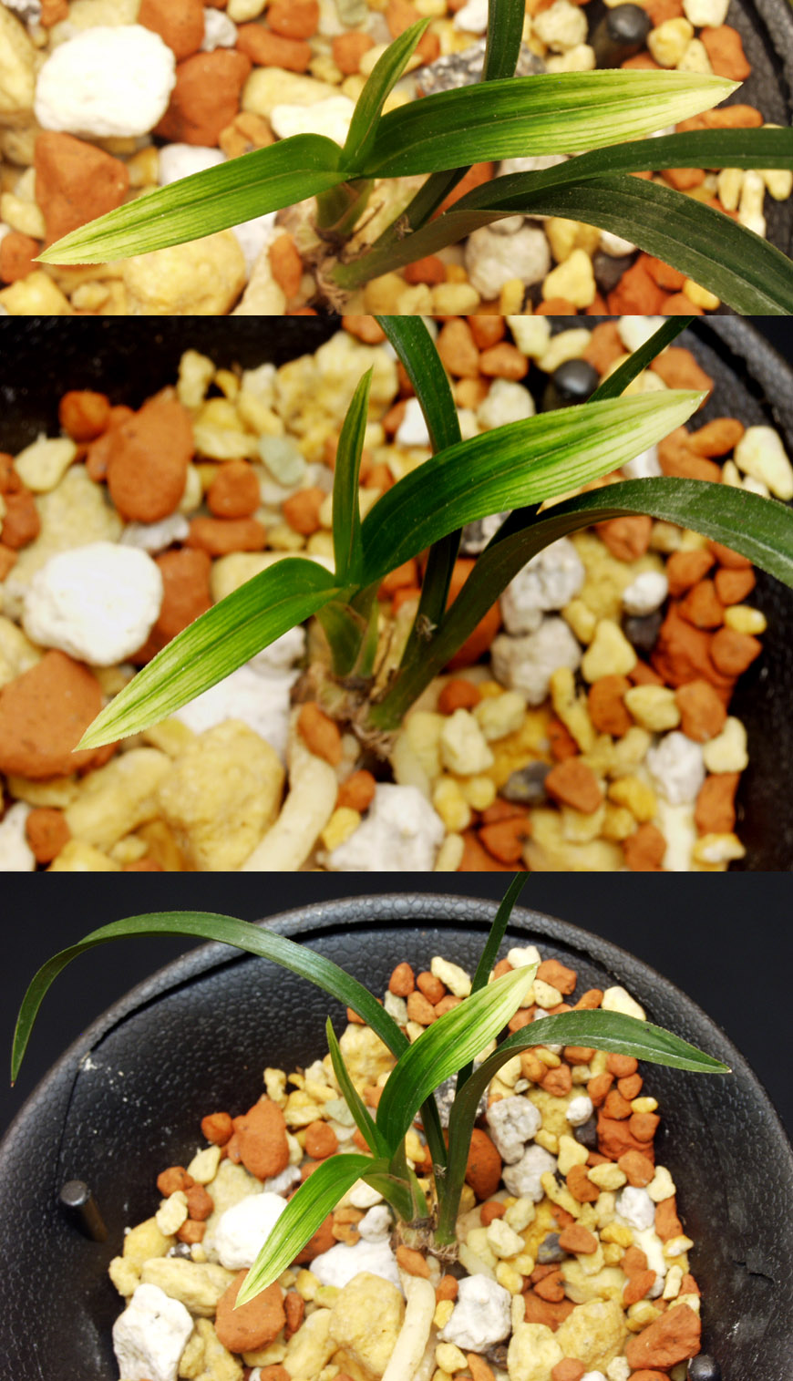 ������ ū������ �� �� �ֽ��ϴ�.