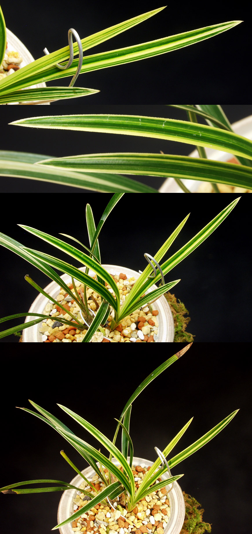 ������ ū������ �� �� �ֽ��ϴ�.