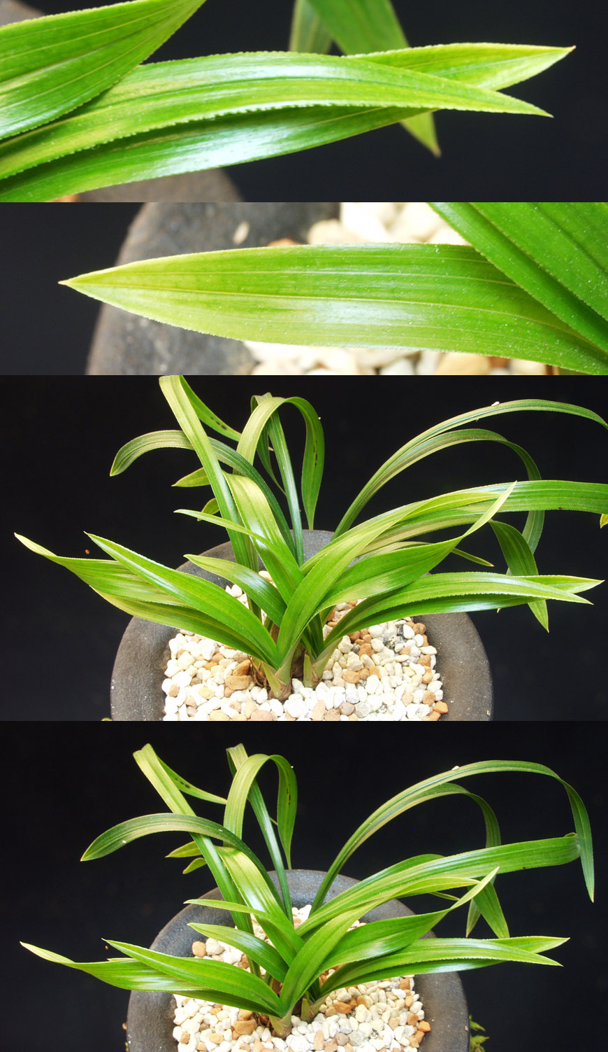 ������ ū������ �� �� �ֽ��ϴ�.