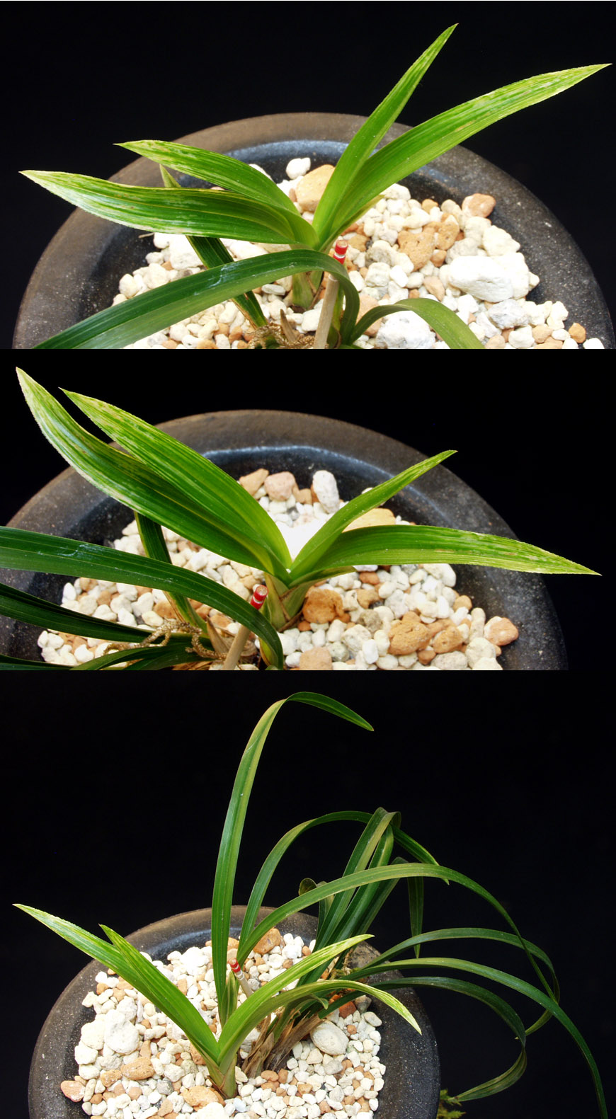 ������ ū������ �� �� �ֽ��ϴ�.