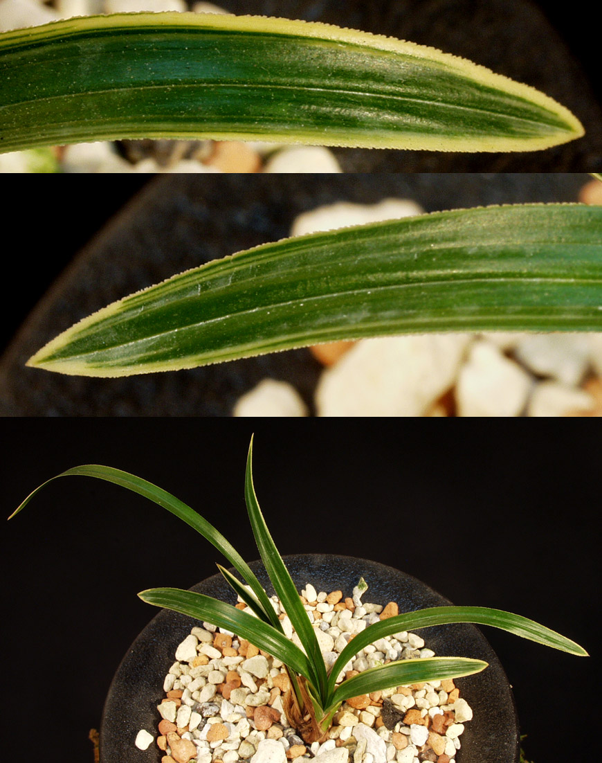 ������ ū������ �� �� �ֽ��ϴ�.