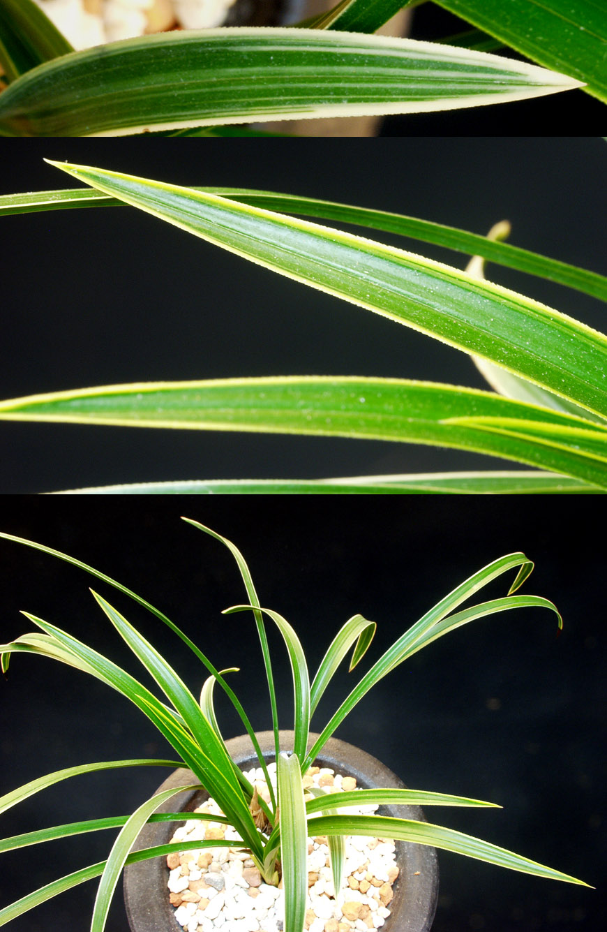 ������ ū������ �� �� �ֽ��ϴ�.