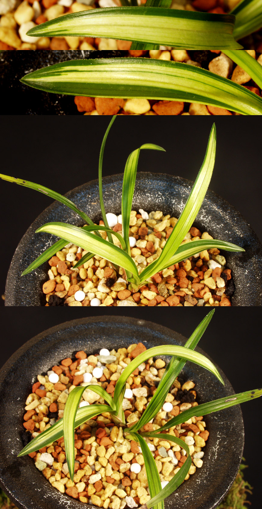 ������ ū������ �� �� �ֽ��ϴ�.