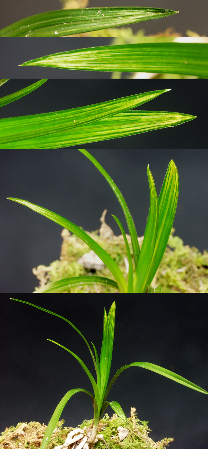 ������ ū������ �� �� �ֽ��ϴ�.