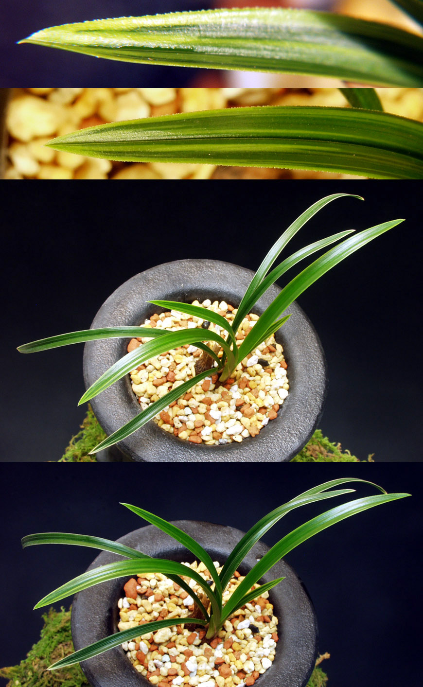 ������ ū������ �� �� �ֽ��ϴ�.