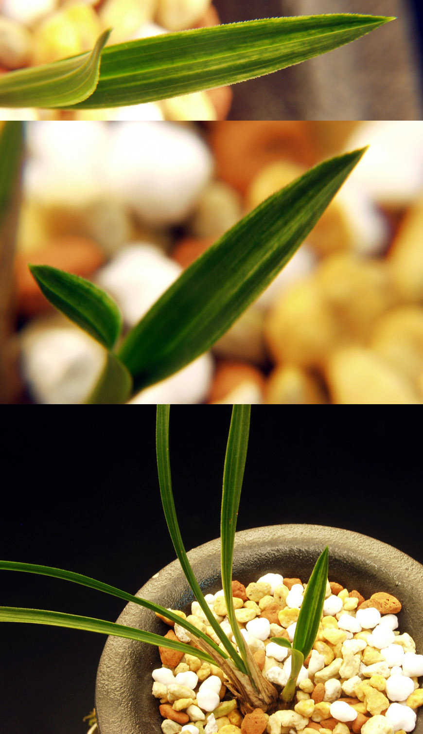 ������ ū������ �� �� �ֽ��ϴ�.