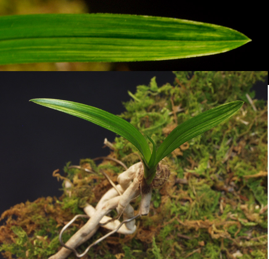 ������ ū������ �� �� �ֽ��ϴ�.