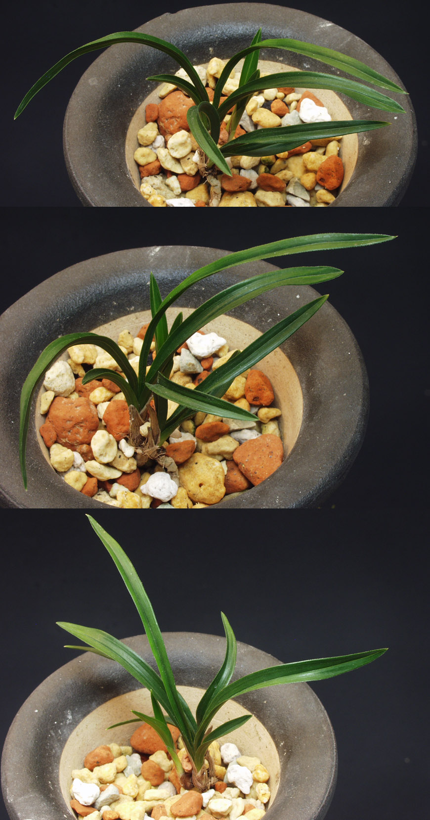 ������ ū������ �� �� �ֽ��ϴ�.