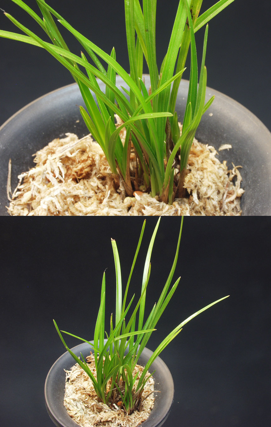 ������ ū������ �� �� �ֽ��ϴ�.