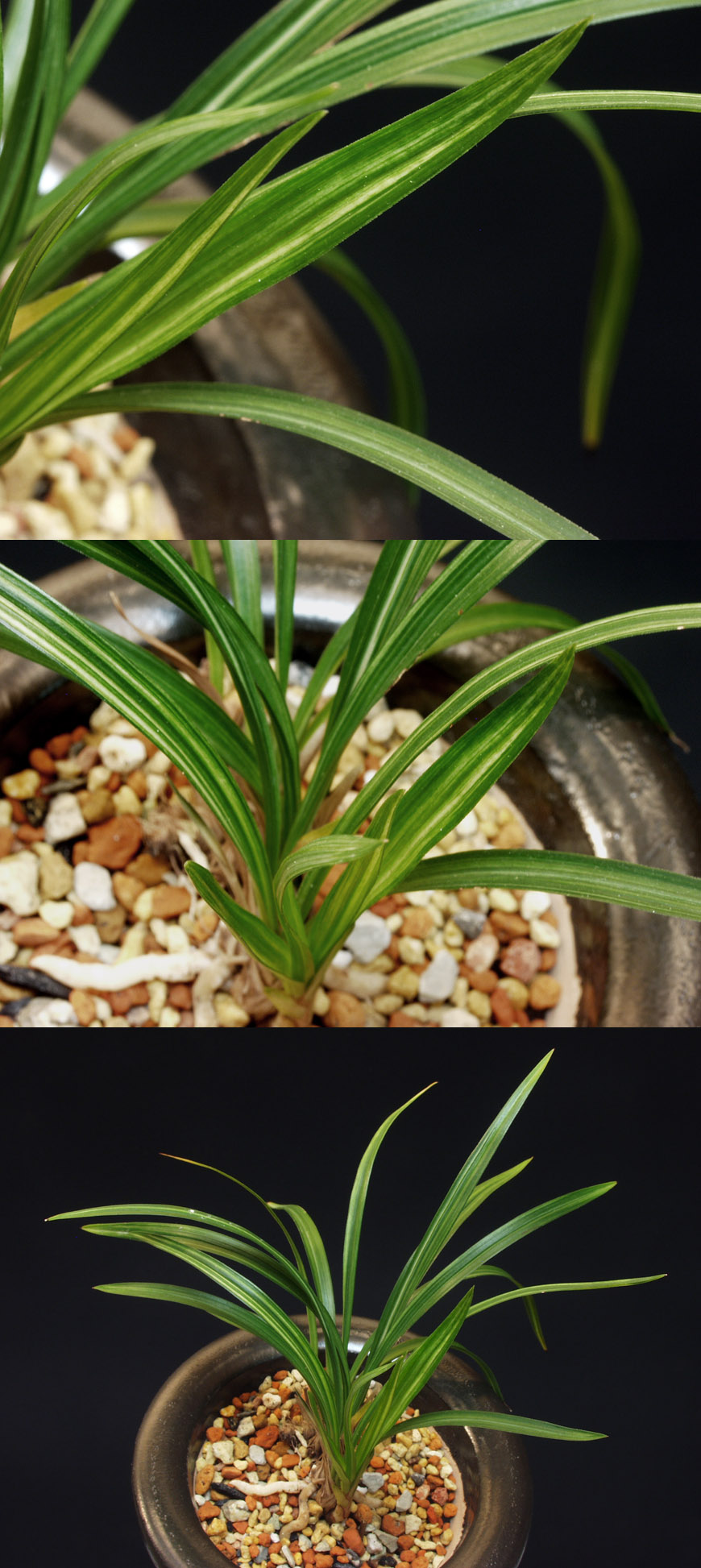 ������ ū������ �� �� �ֽ��ϴ�.