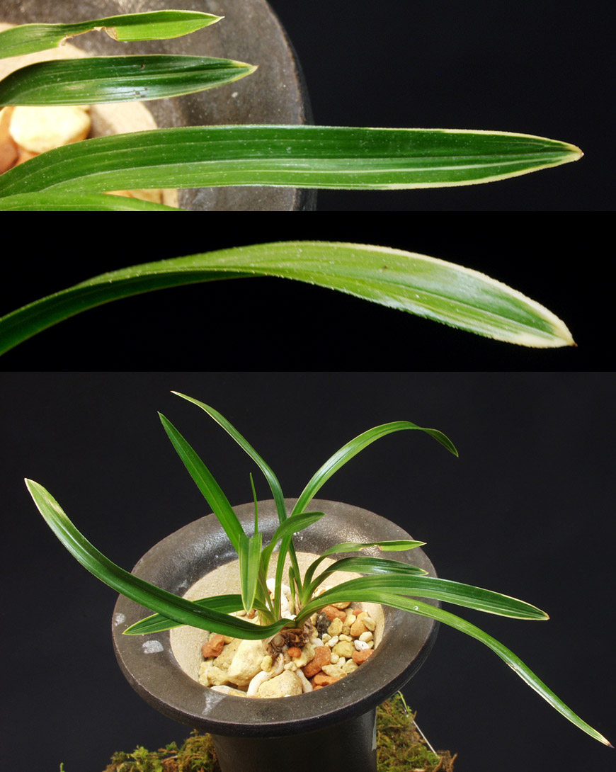 ������ ū������ �� �� �ֽ��ϴ�.