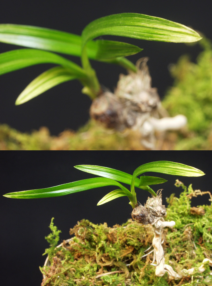 ������ ū������ �� �� �ֽ��ϴ�.