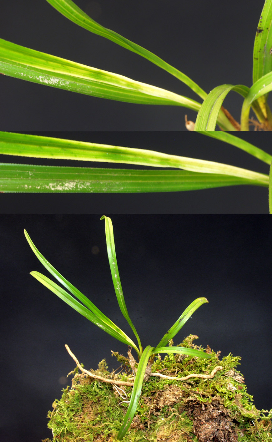 ������ ū������ �� �� �ֽ��ϴ�.