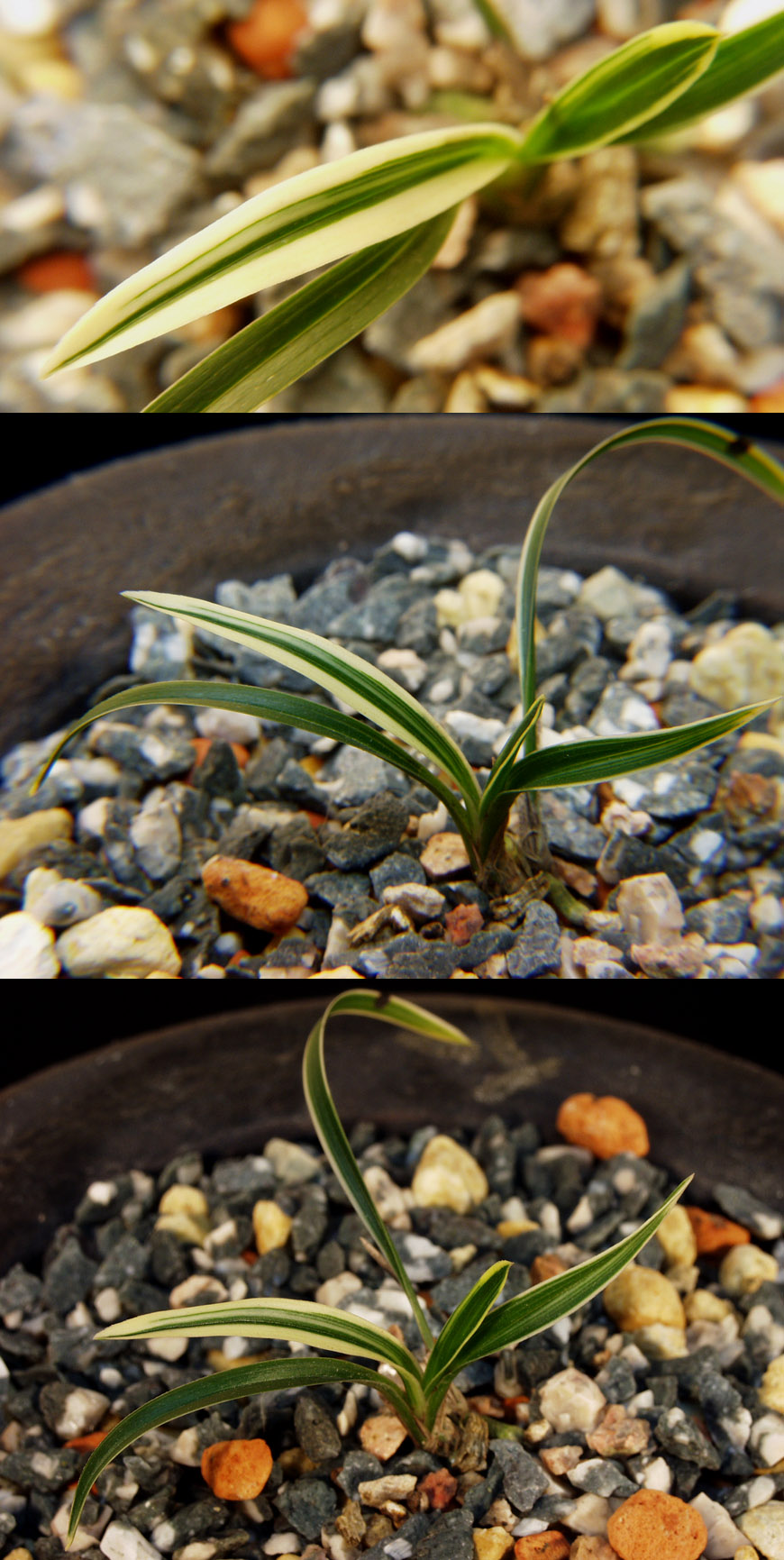 ������ ū������ �� �� �ֽ��ϴ�.