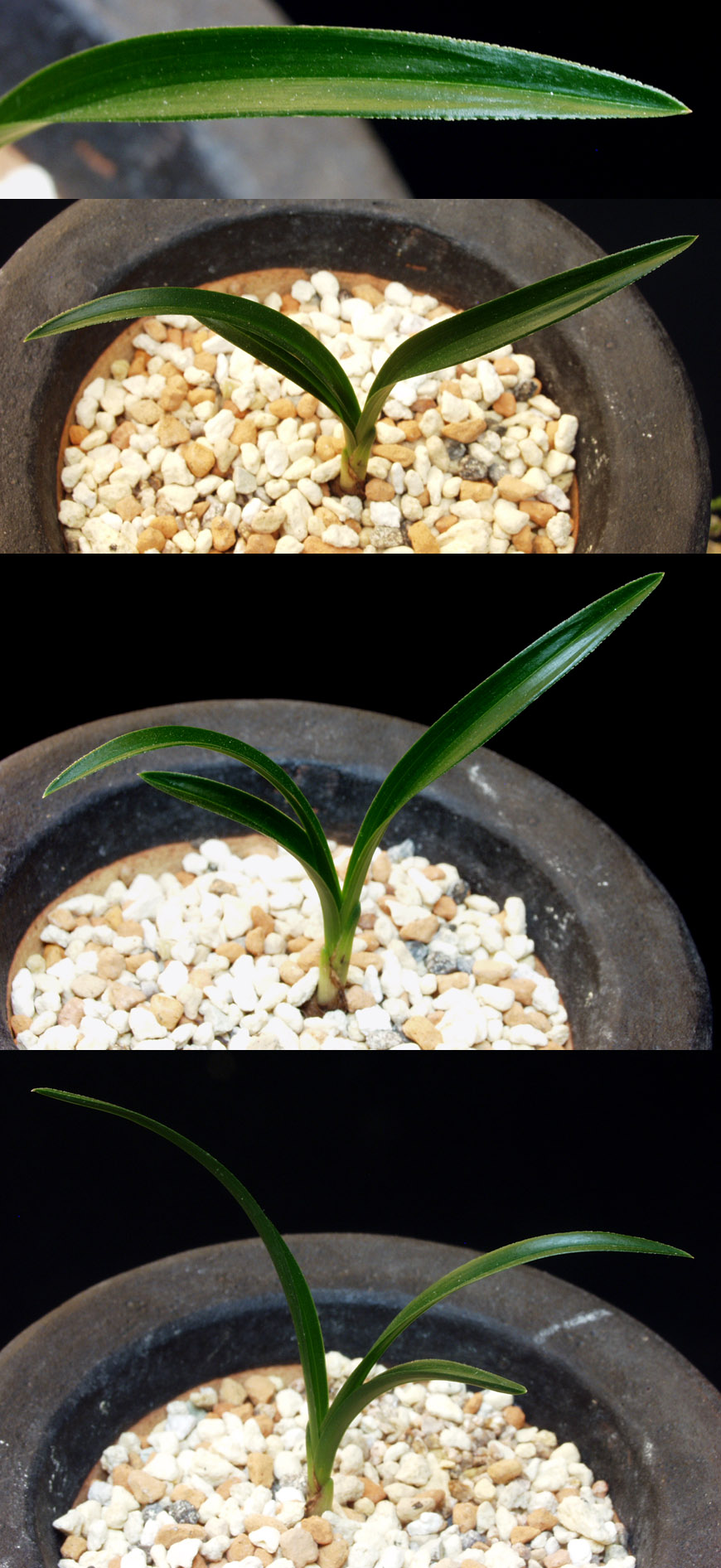 ������ ū������ �� �� �ֽ��ϴ�.