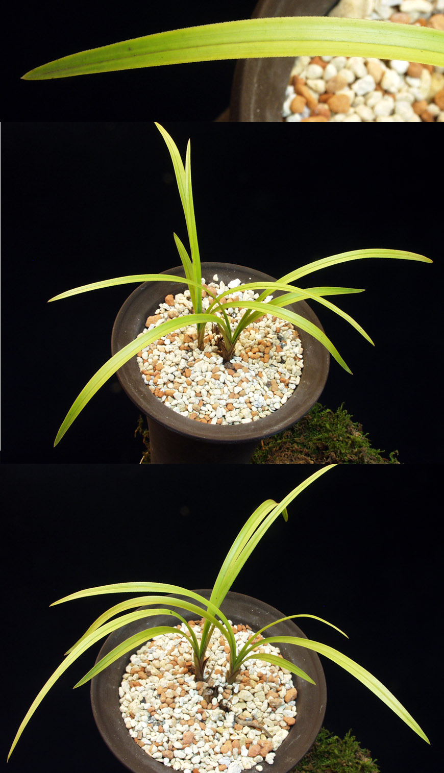 ������ ū������ �� �� �ֽ��ϴ�.