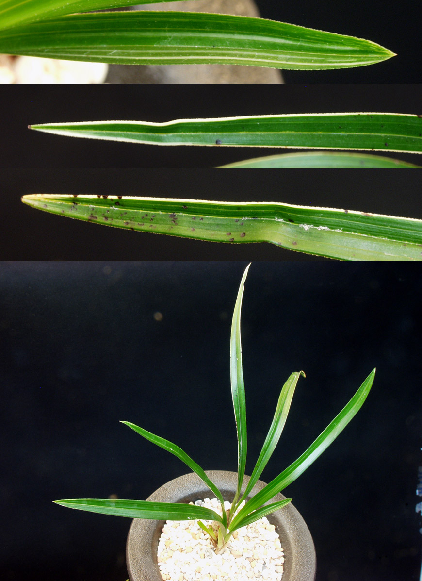 ������ ū������ �� �� �ֽ��ϴ�.