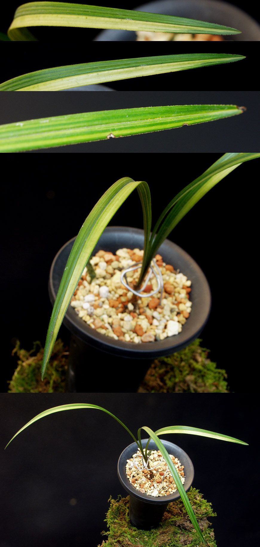 ������ ū������ �� �� �ֽ��ϴ�.