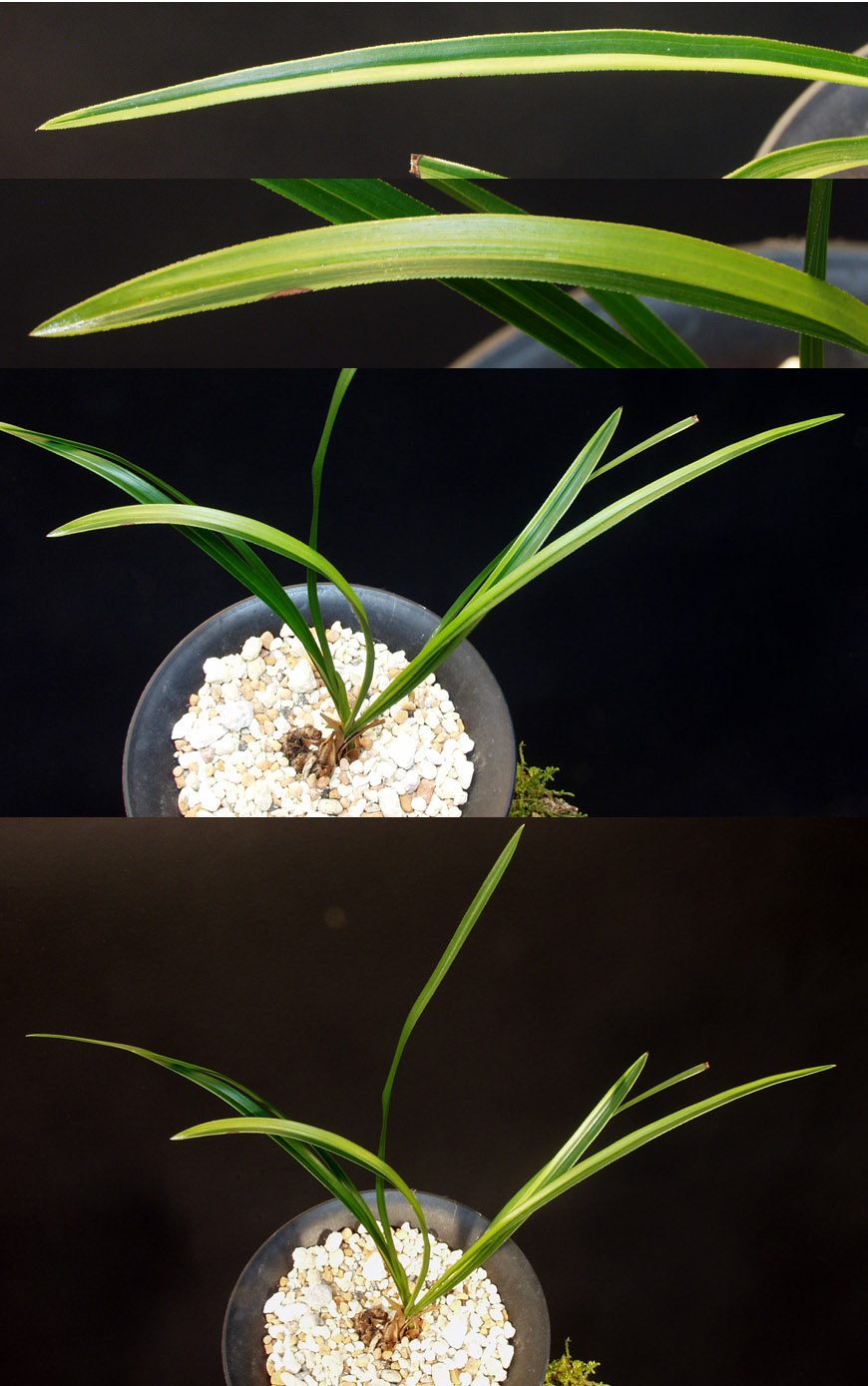 ������ ū������ �� �� �ֽ��ϴ�.