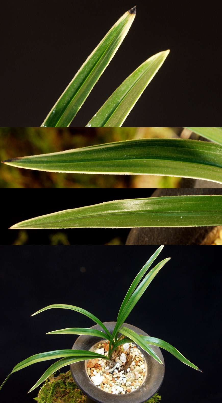 ������ ū������ �� �� �ֽ��ϴ�.