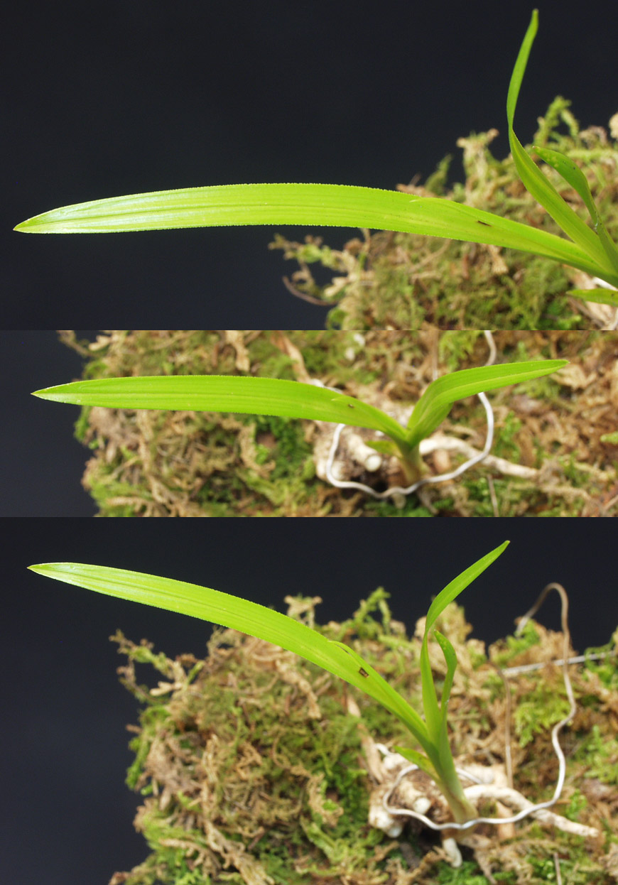 ������ ū������ �� �� �ֽ��ϴ�.