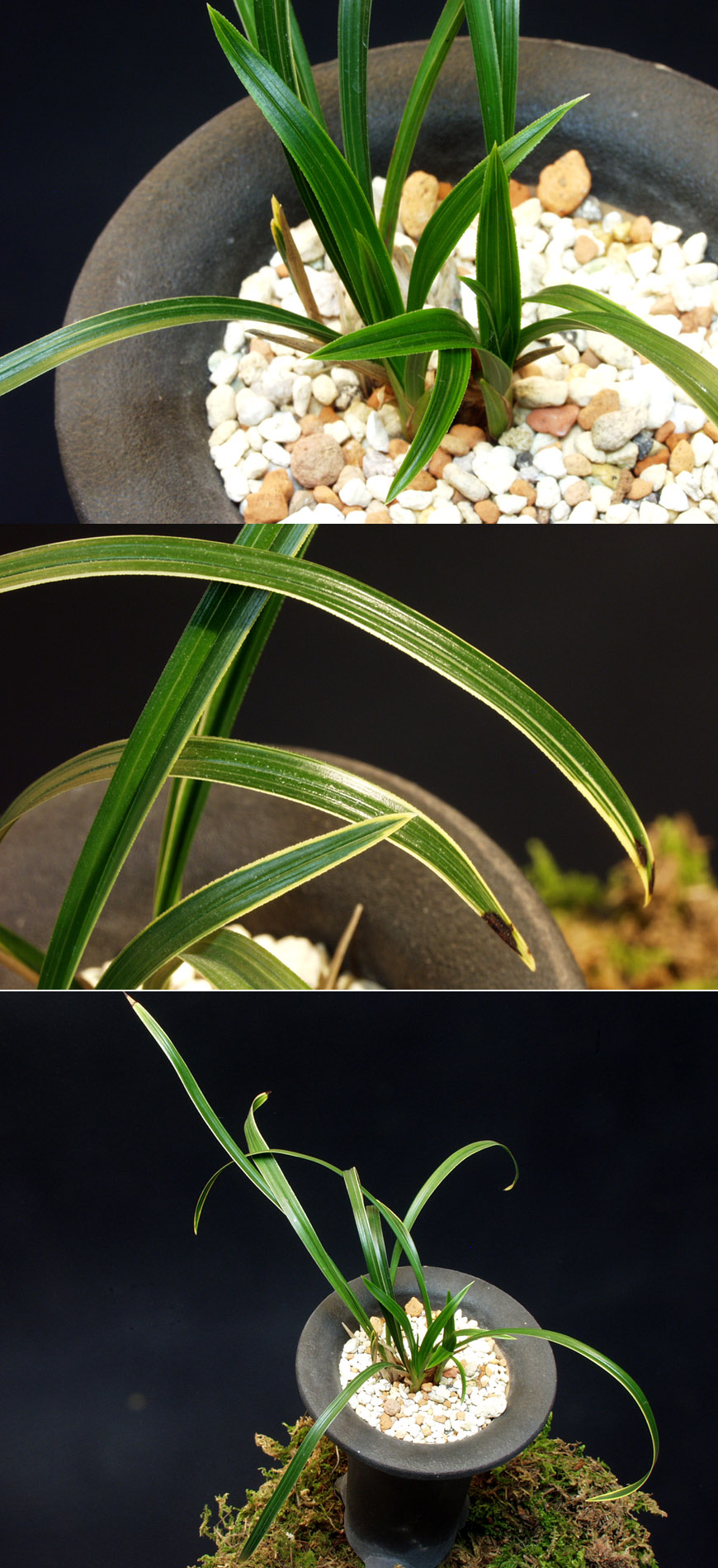 ������ ū������ �� �� �ֽ��ϴ�.