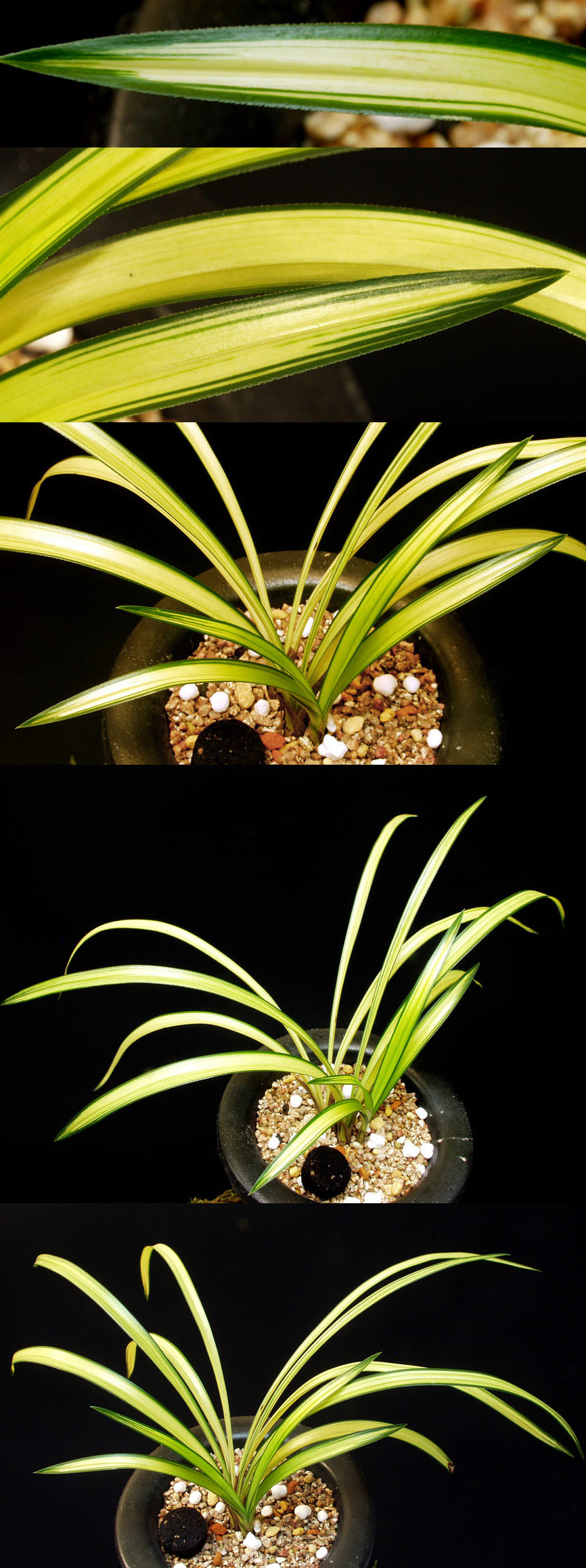 ������ ū������ �� �� �ֽ��ϴ�.