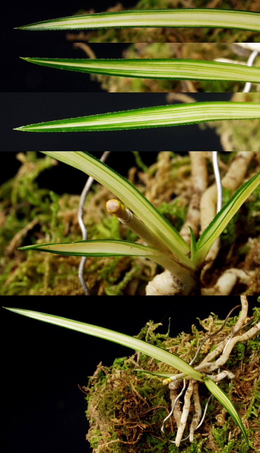 ������ ū������ �� �� �ֽ��ϴ�.