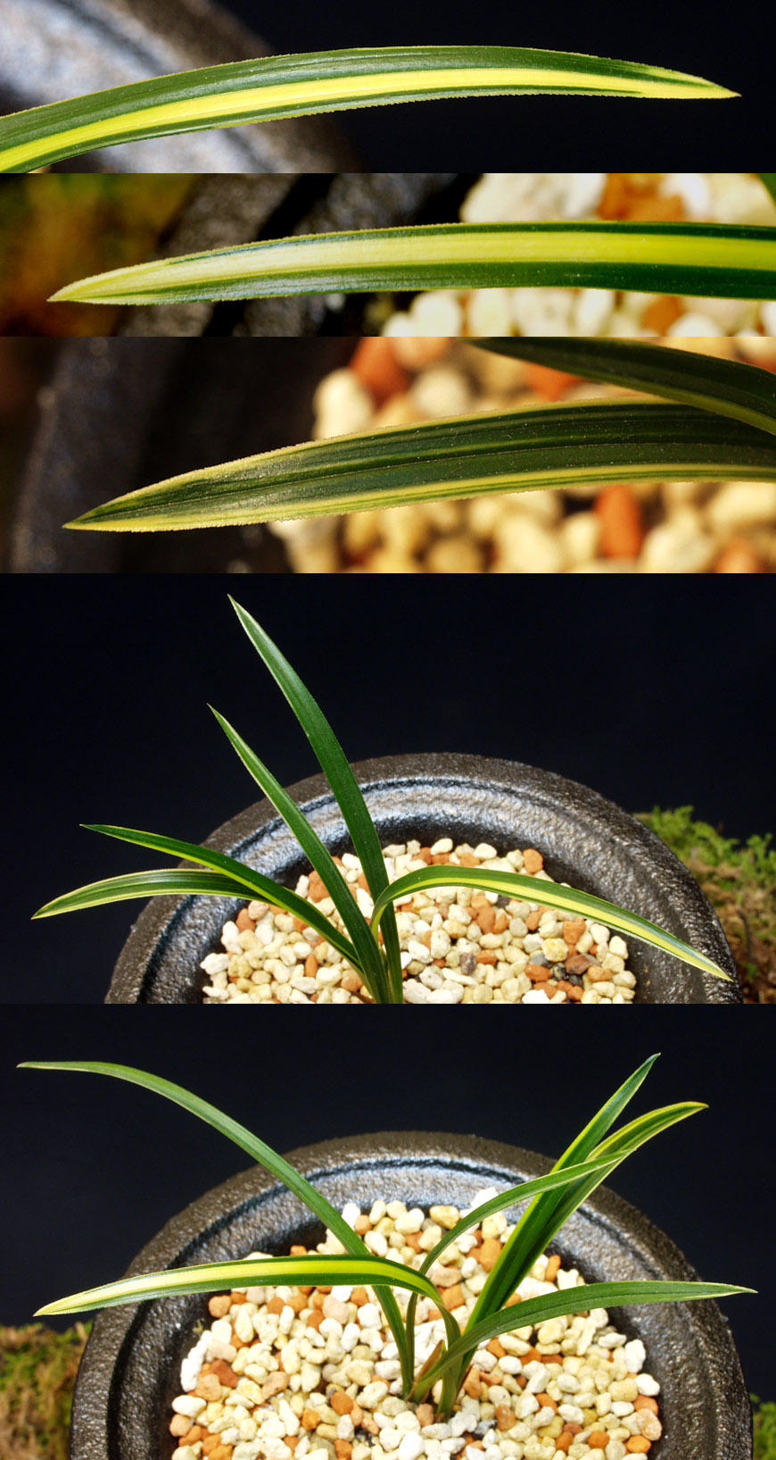 ������ ū������ �� �� �ֽ��ϴ�.