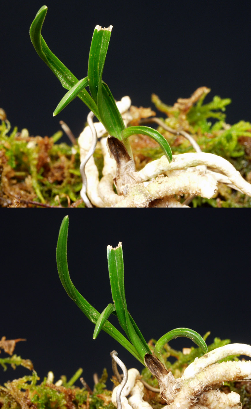 ������ ū������ �� �� �ֽ��ϴ�.