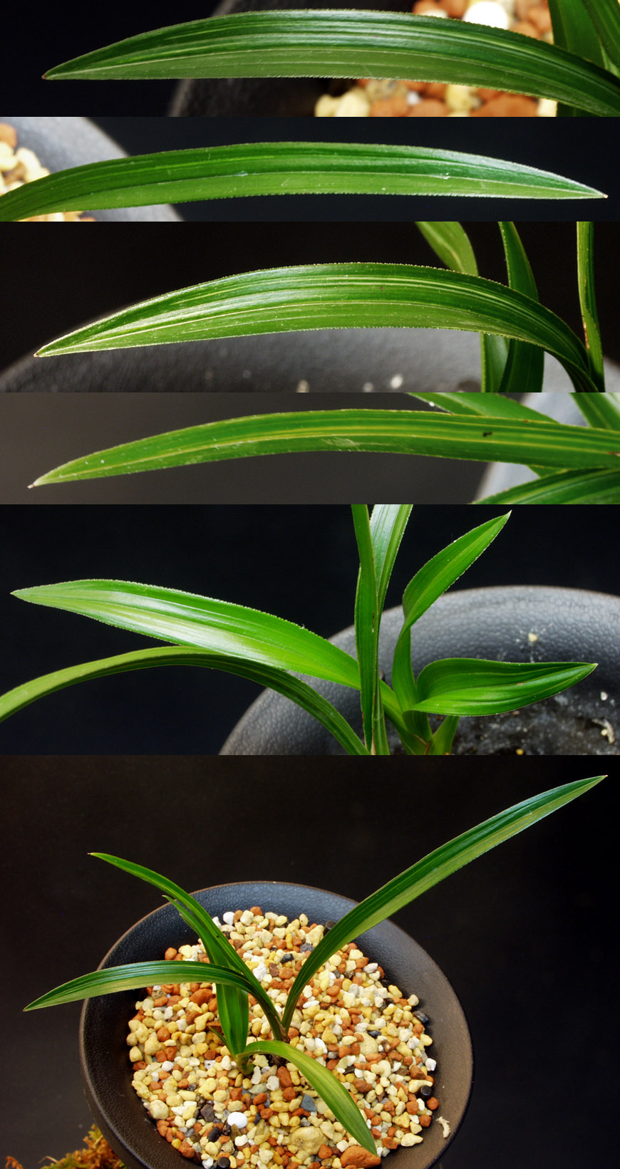 ������ ū������ �� �� �ֽ��ϴ�.