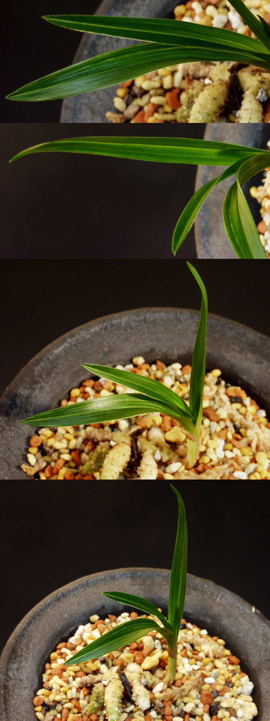 ������ ū������ �� �� �ֽ��ϴ�.