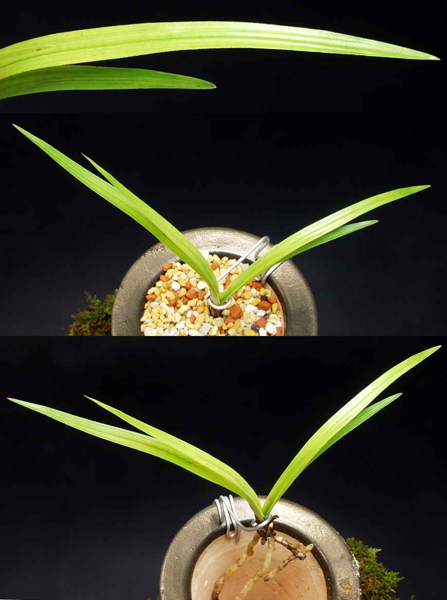 ������ ū������ �� �� �ֽ��ϴ�.