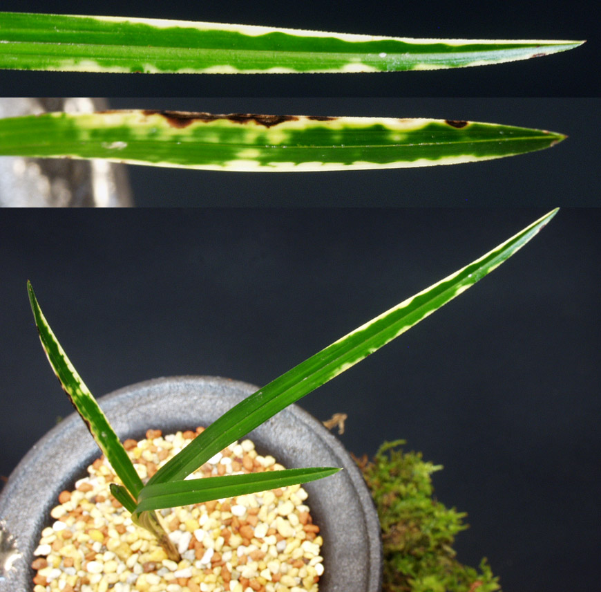 ������ ū������ �� �� �ֽ��ϴ�.