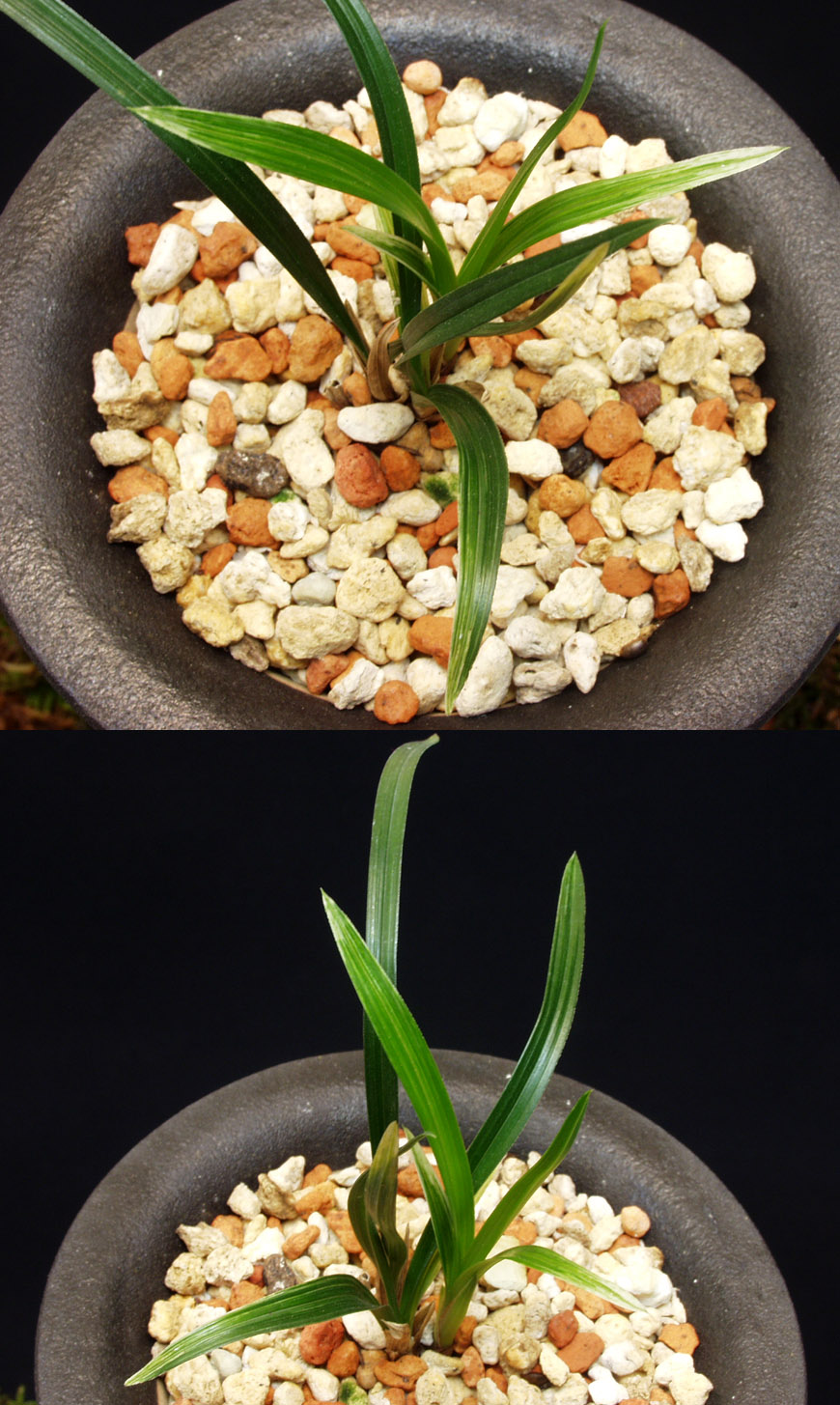 ������ ū������ �� �� �ֽ��ϴ�.