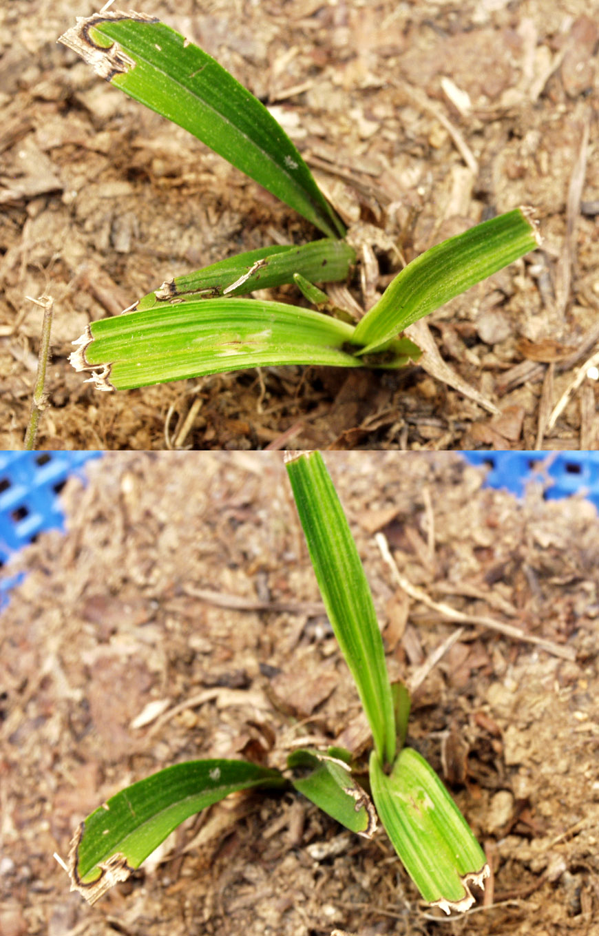 ������ ū������ �� �� �ֽ��ϴ�.